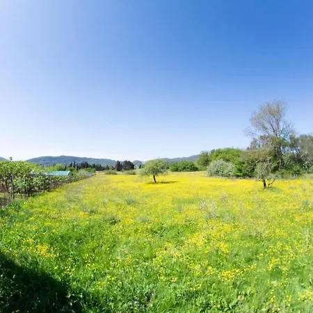 Apartamento Corfu Dream Holidays A
