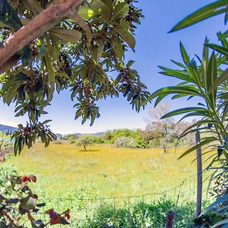 Corfu Dream Holidays A Apartamento Kouramaditika