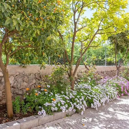 Apartamento Corfu Dream Holidays A