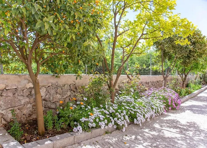 Lejlighed Corfu Dream Holidays A