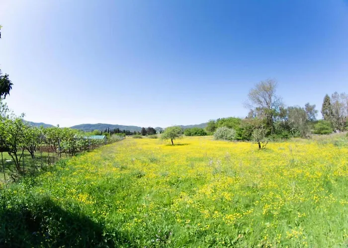 Appartement Corfu Dream Holidays A