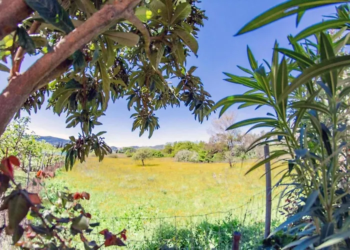 Corfu Dream Holidays A Appartement Kouramaditika